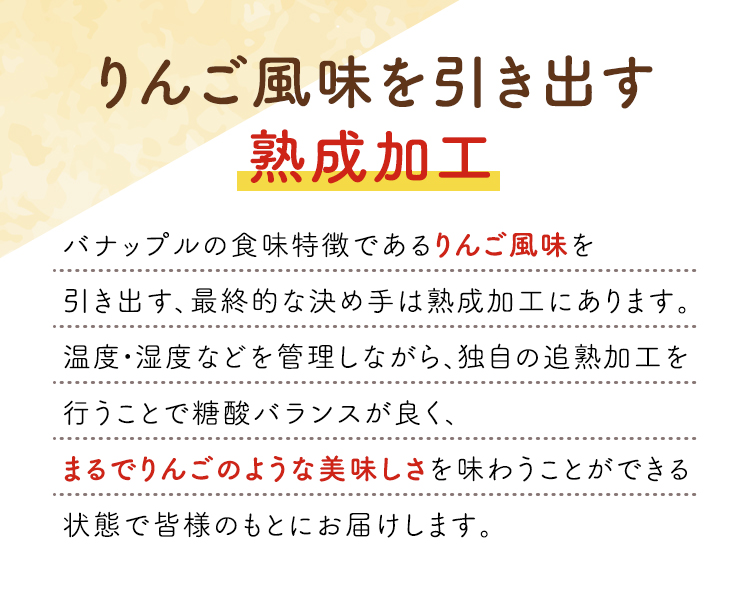 スミフル開発品種　バナップル