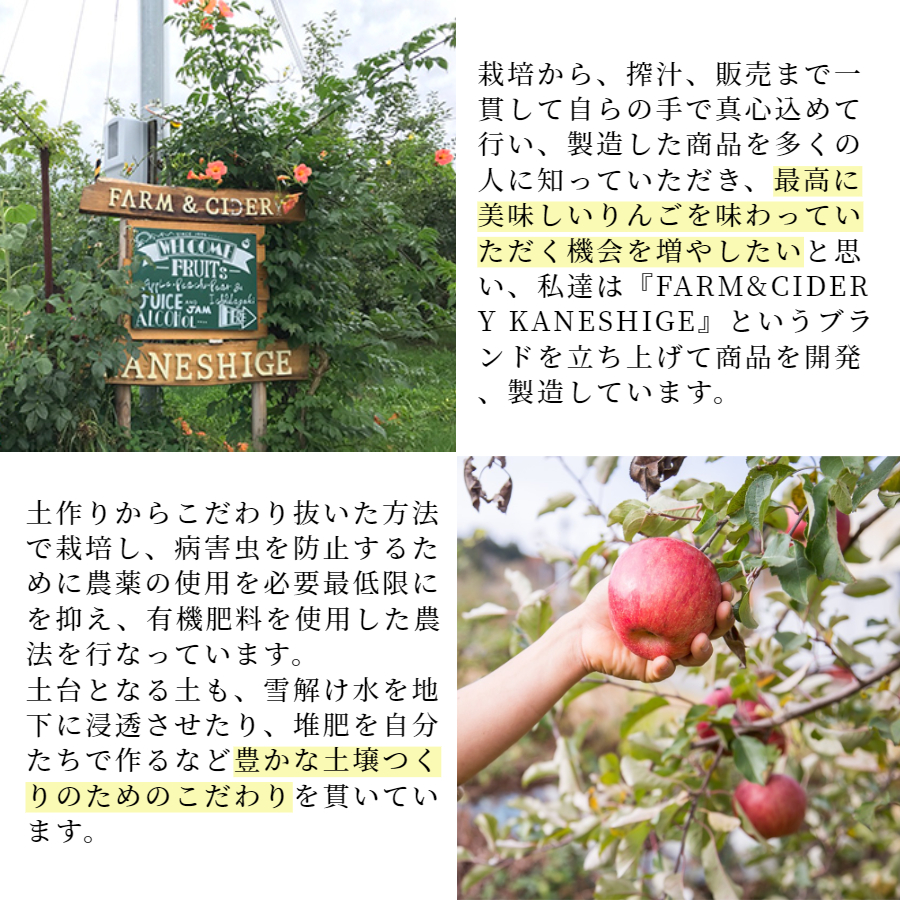 長野県産りんご むぎわらぼうし 通販 お取り寄せ 産地直送