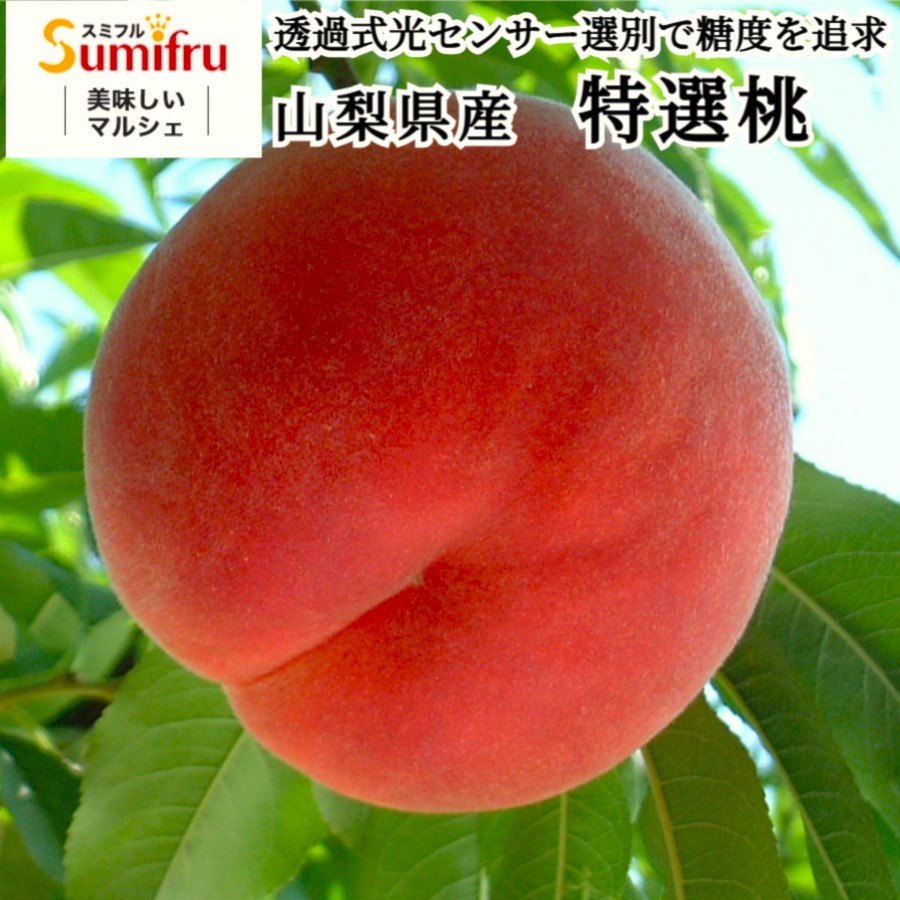 山梨県産 桃 通販 もも 丸章青果