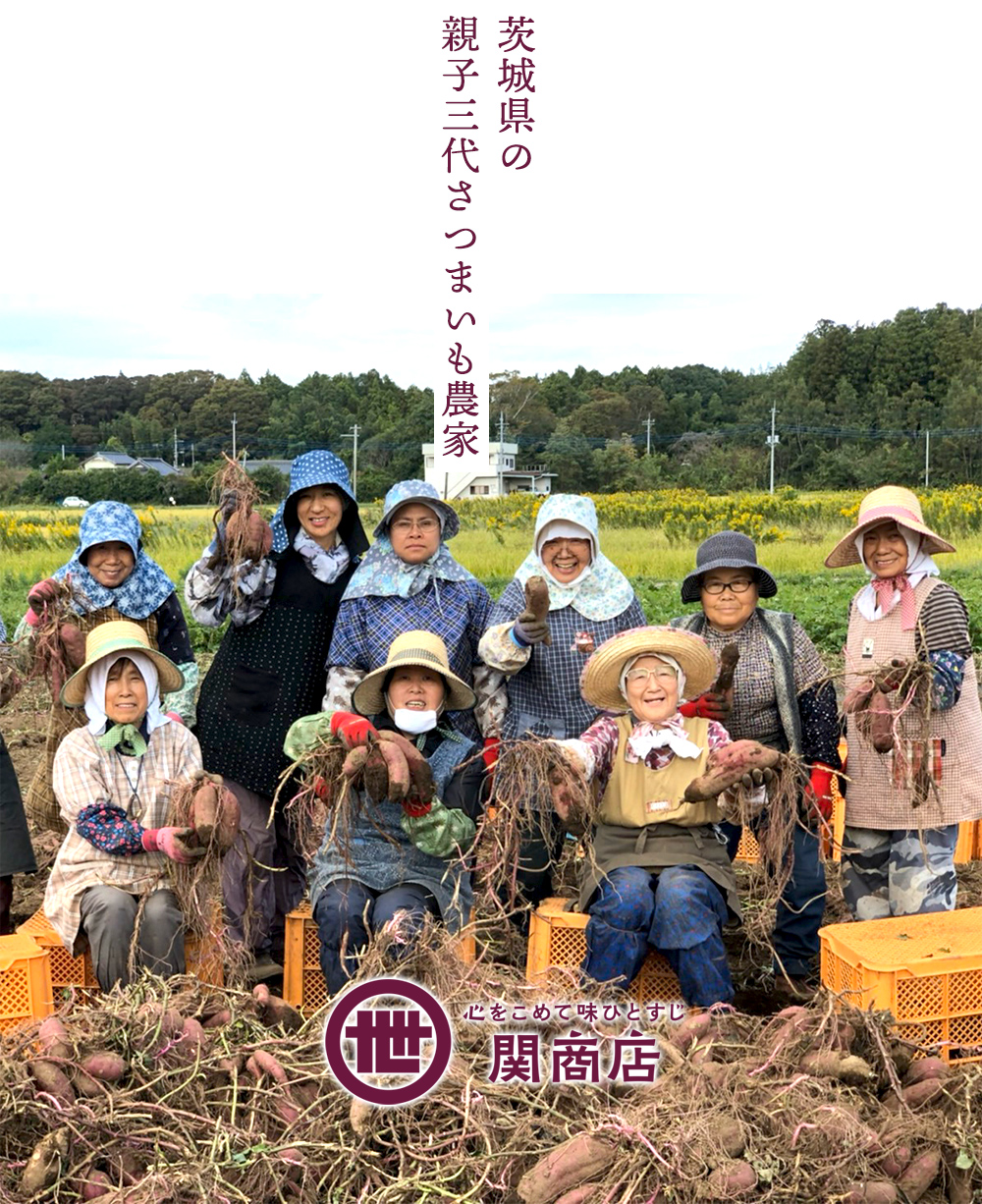 茨城県の親子三代さつまいも農家