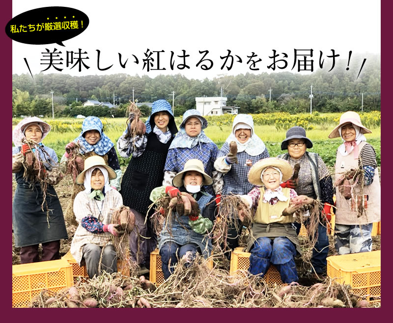 関商店 紅はるか 冷凍焼き芋 スミフル 茨城県産