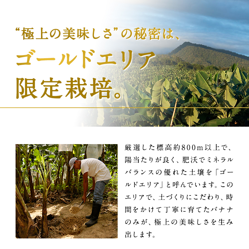 スミフル 甘熟王ゴールドプレミアム バナナ 通販