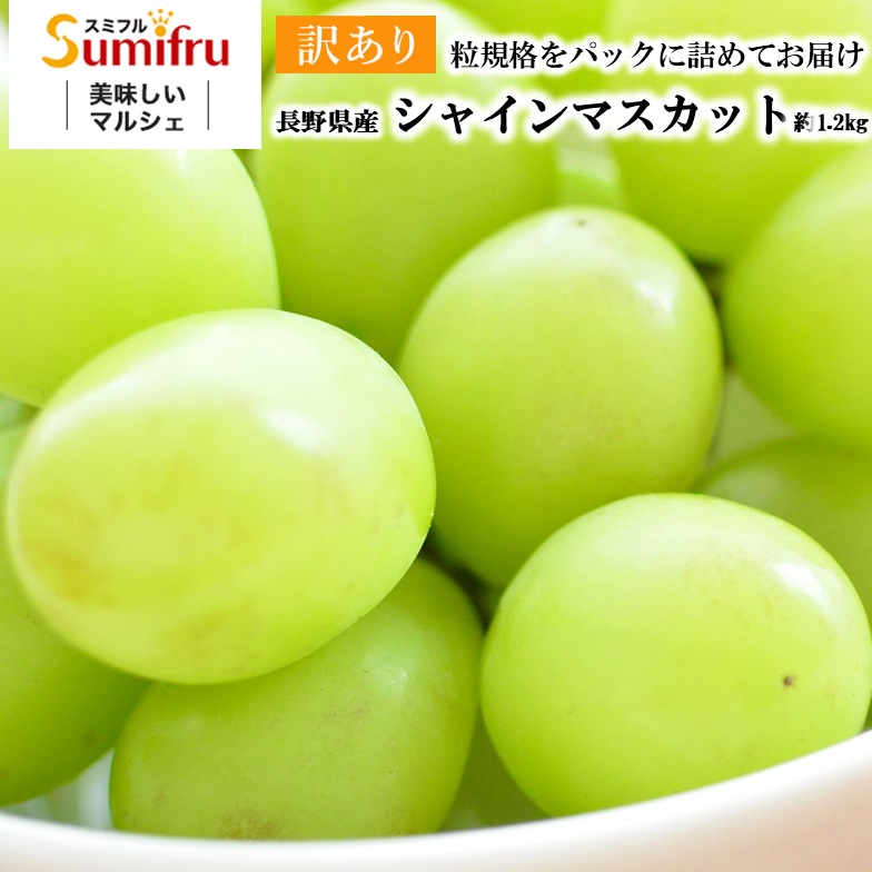 長野県産 ぶどう 通販 社員マスカット タマファーム