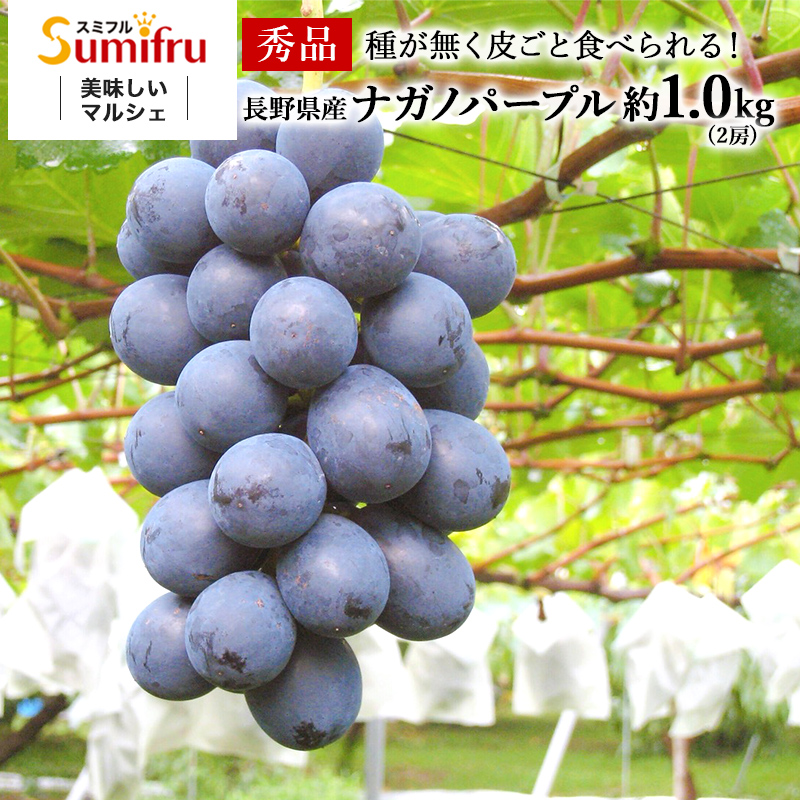長野県産 ぶどう 通販 ナガノパープル タマファーム
