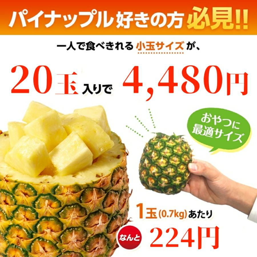 業務用パイン 通販 スミフル 甘熟王