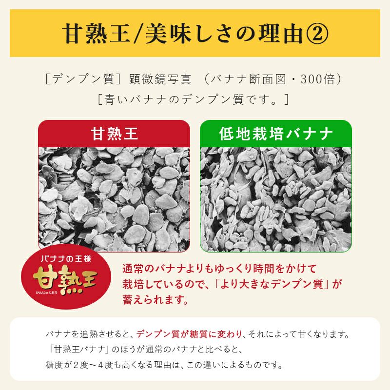 スミフル 甘熟王 通販 バナナ オフィス