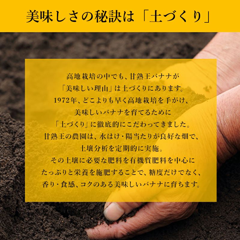 スミフル 甘熟王 通販 バナナ オフィス