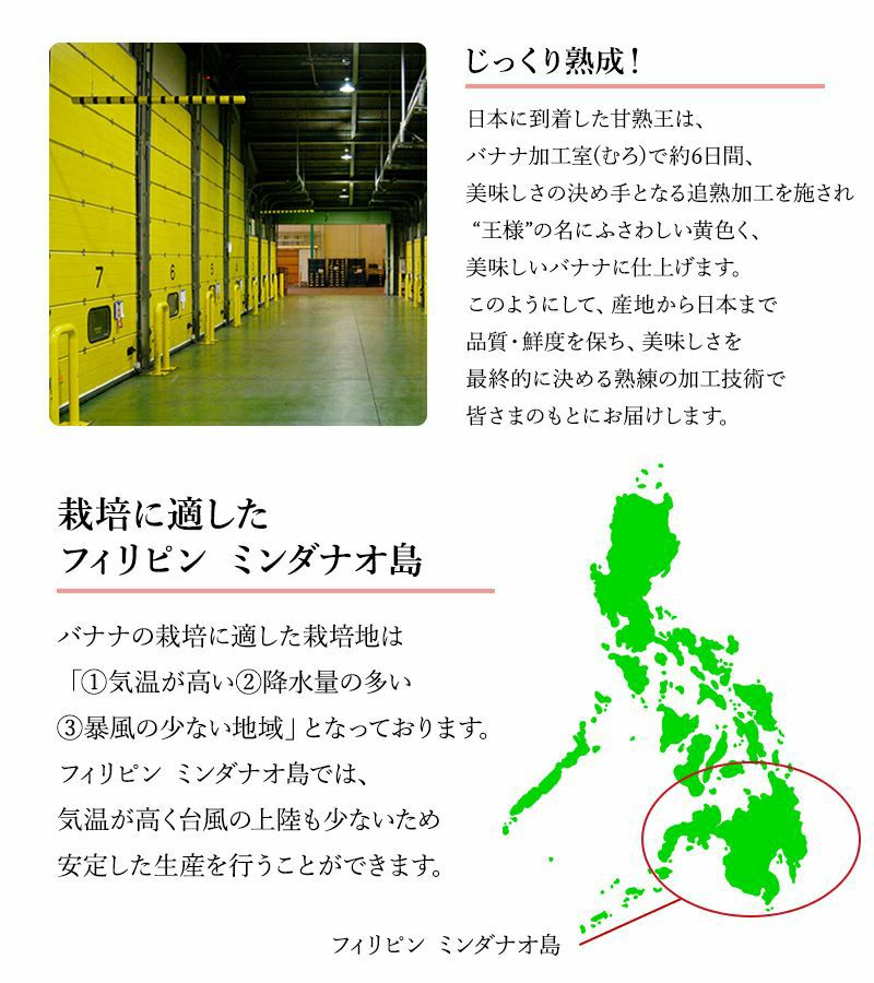 スミフル 甘熟王 通販 バナナ オフィス 大量