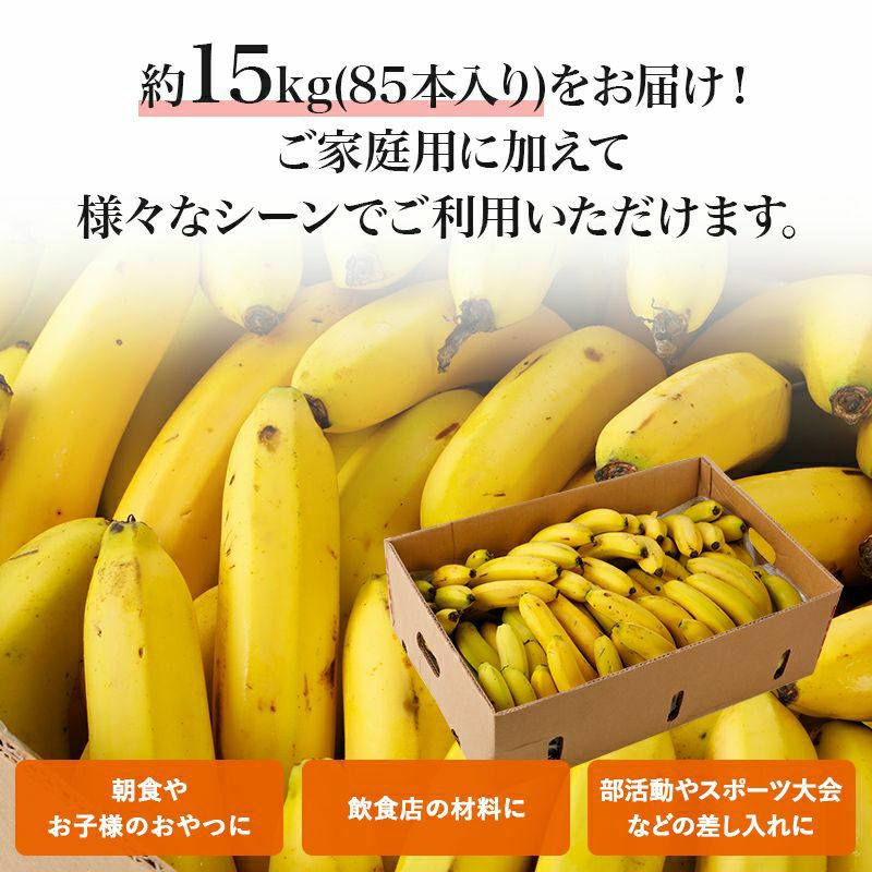 【定期便】業務用訳あり甘熟王バナナ 約15kg