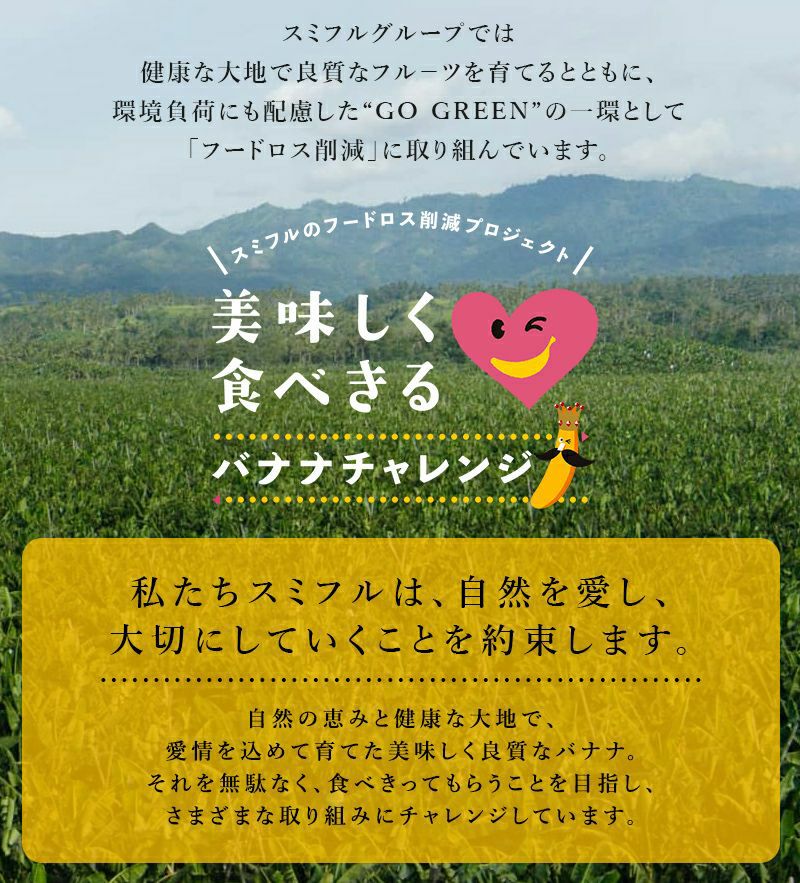 スミフル 甘熟王 通販 バナナ オフィス 大量