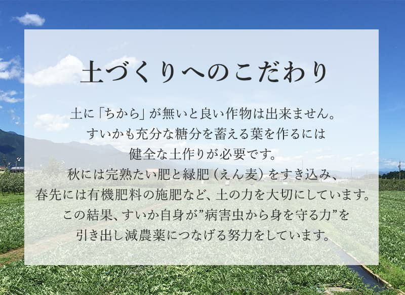 高地栽培完熟すいか 2玉 スミフルの美味しいマルシェ