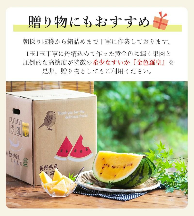 衝撃のサイズと甘さ、金色羅皇6L2玉セット24k前後箱込　かめまる食堂 de6851c17fa6ab8ebd63ca8f03acf5