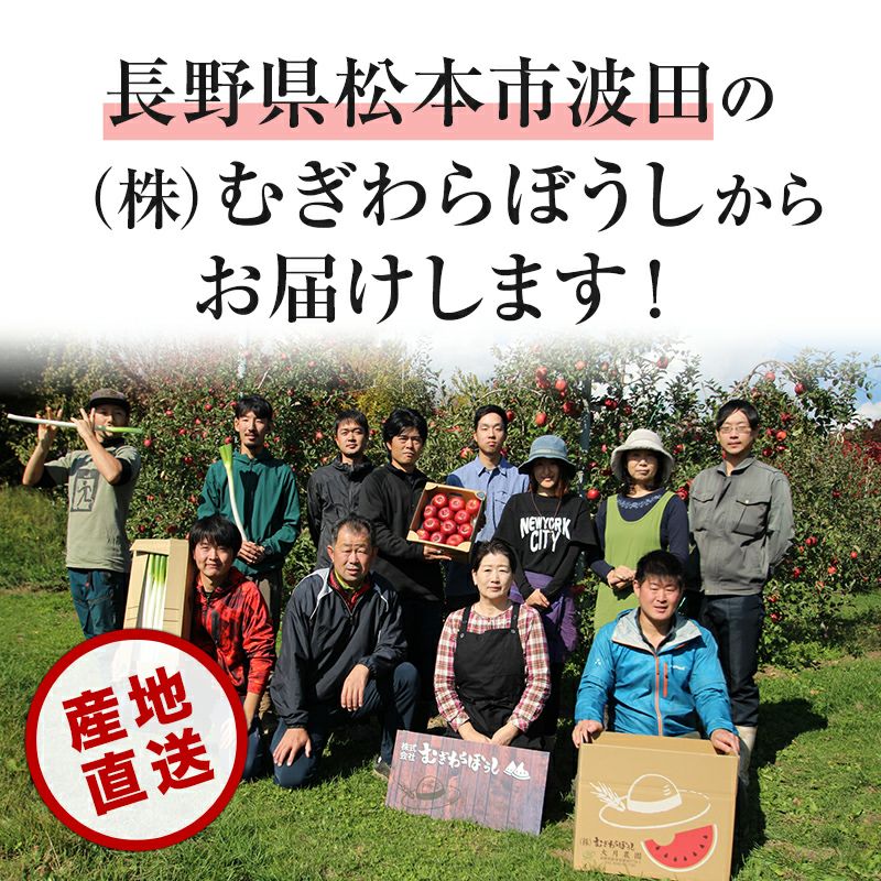 長野県産 りんご リンゴ 通販 お取り寄せ むぎわらぼうし