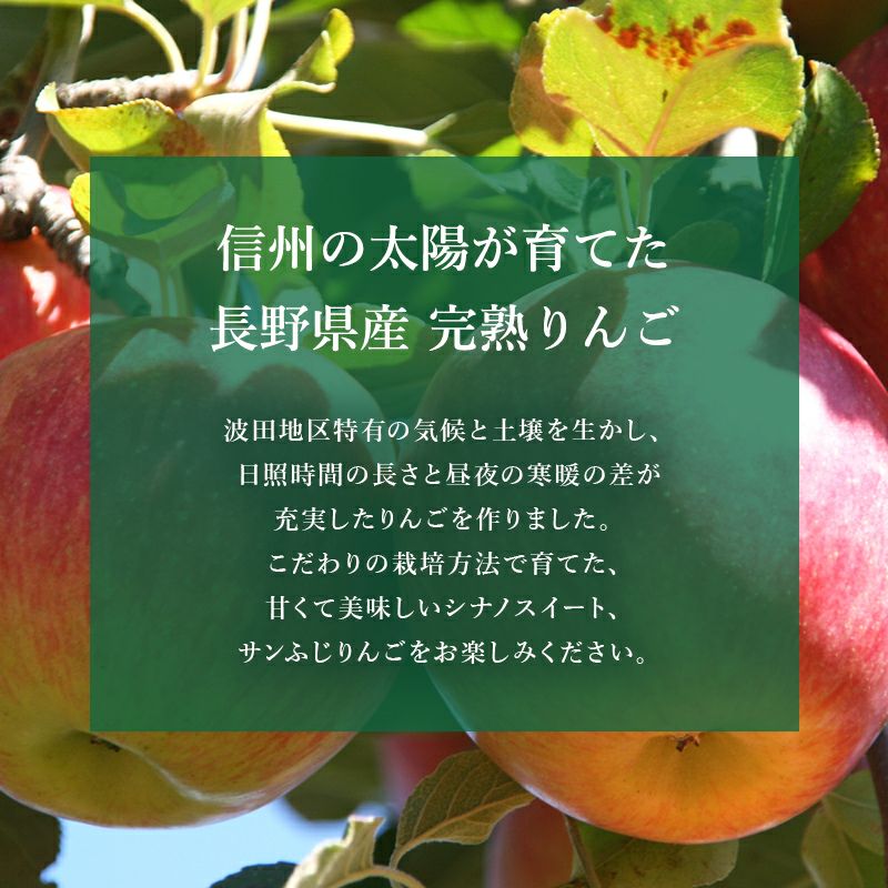 長野県産 完熟 リンゴ 3kg