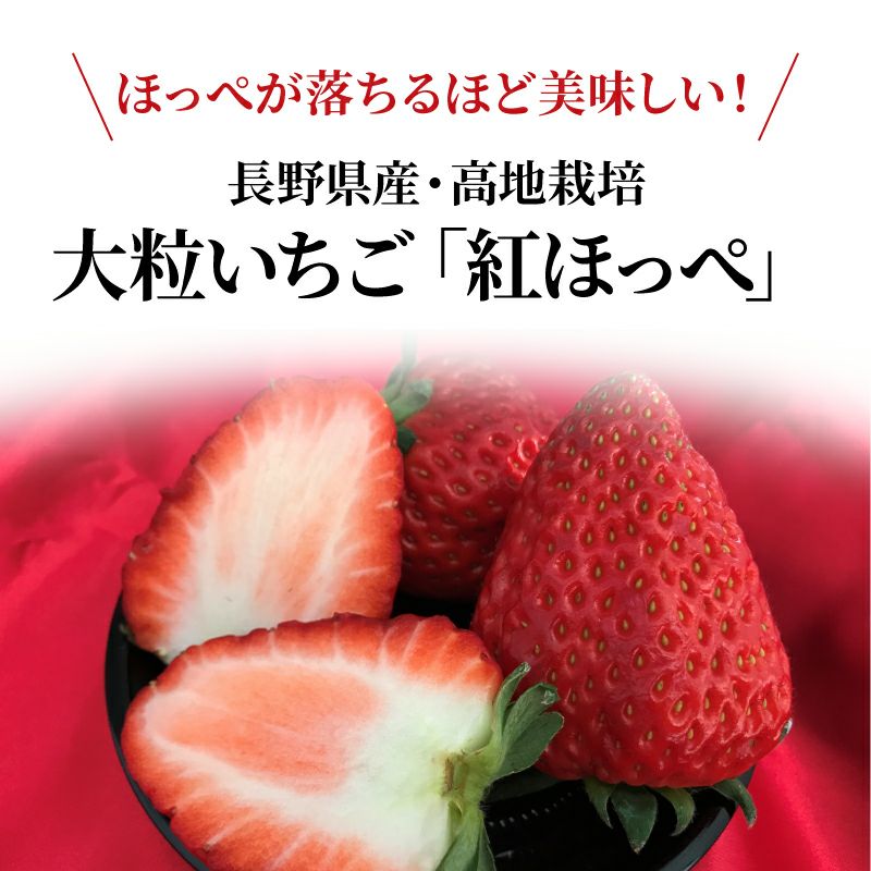 むぎわらぼうし イチゴ 産地直送 紅ほっぺ