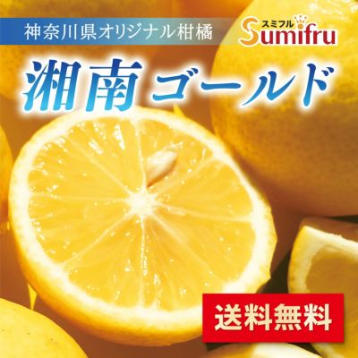 国産フルーツ(果物) | スミフルの美味しいマルシェ