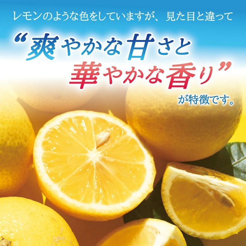 神奈川県産湘南ゴールド 通販 スミフル 果物