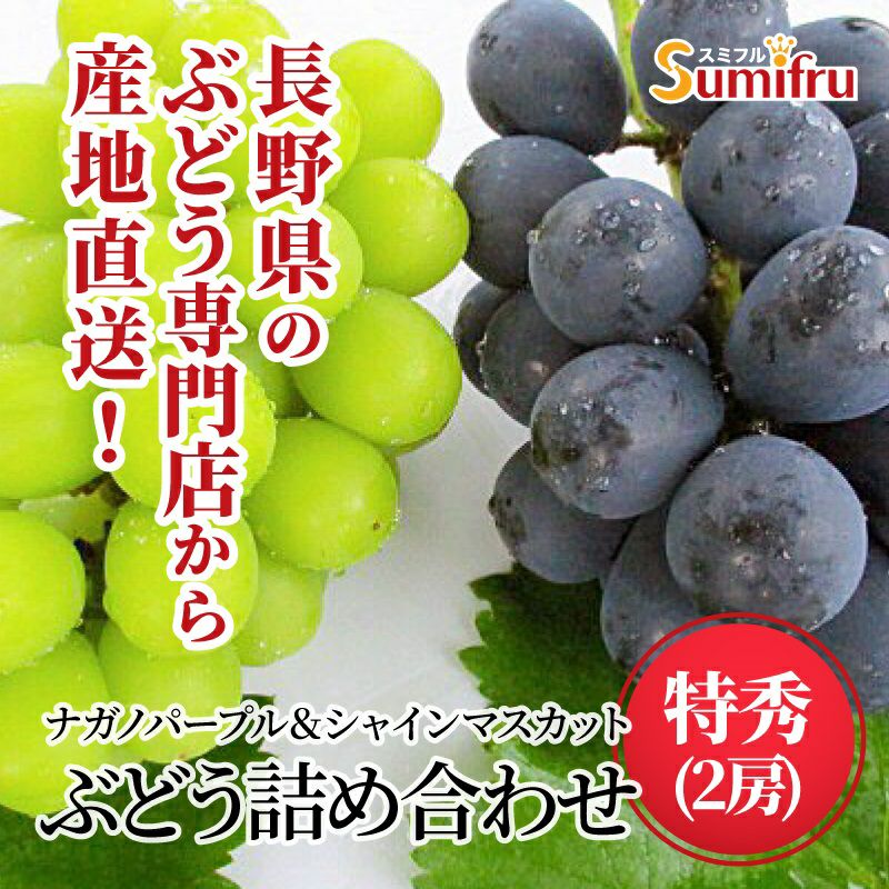 シャインマスカット ナガノパープル 通販 タマファーム