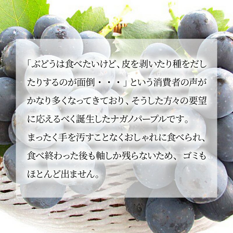 シャインマスカット ナガノパープル 通販 タマファーム