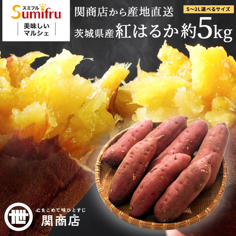 紅はるか 秀品2Lサイズ 約5kg | スミフルの美味しいマルシェ