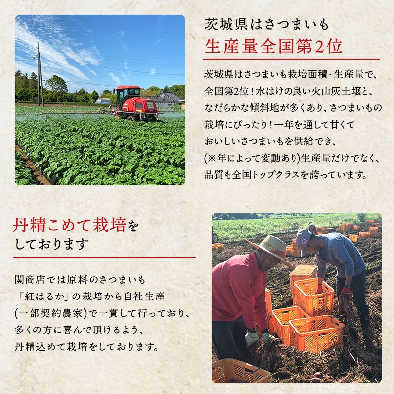 関商店 紅はるか スミフル 茨城県産