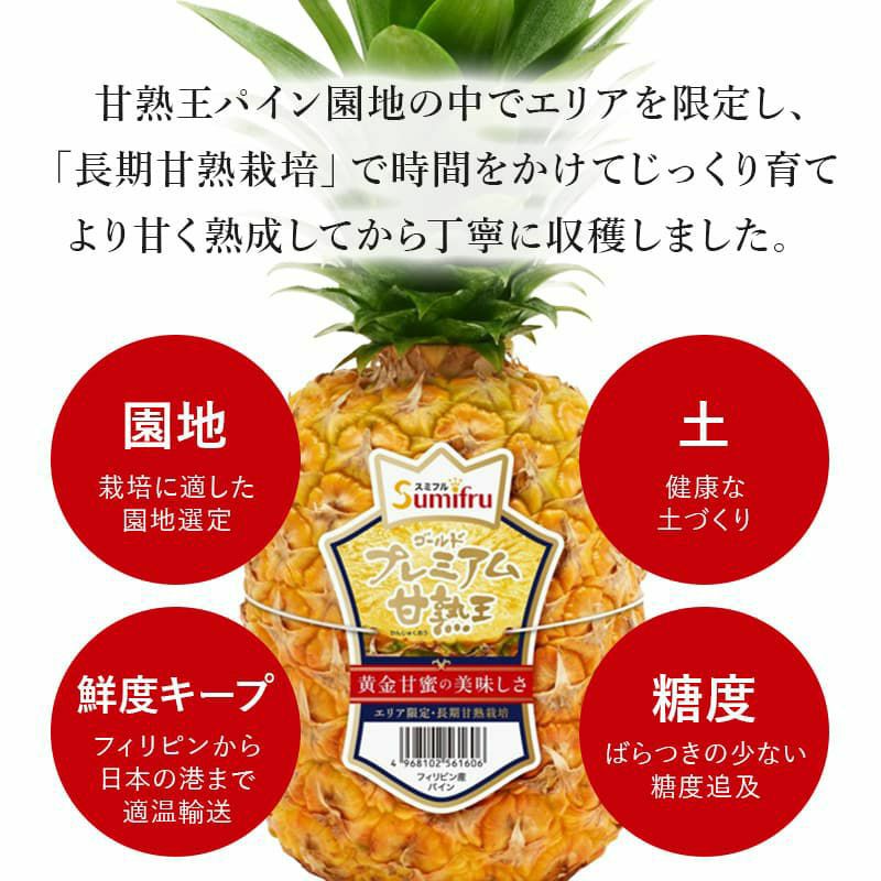 ✨安心安全！農薬不使用！自然栽培✨　丹波産　果物詰め合わせ　甘柿　みかん ✨安心安全！農薬不使用！自然栽培✨ 丹波産 果物詰め合わせ 甘