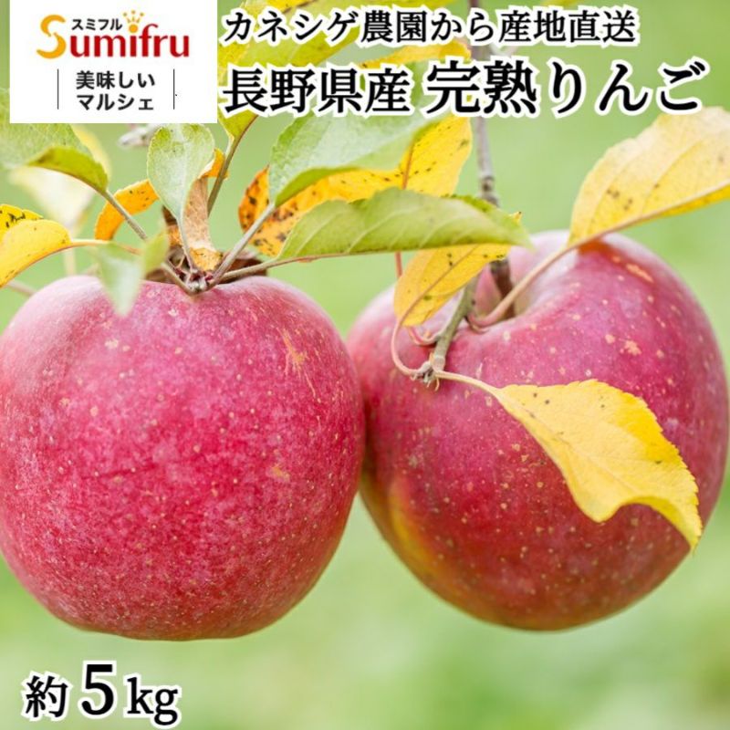 長野県産 摘果りんご 【大きめサイズ】 加工用 ジャム táo 21