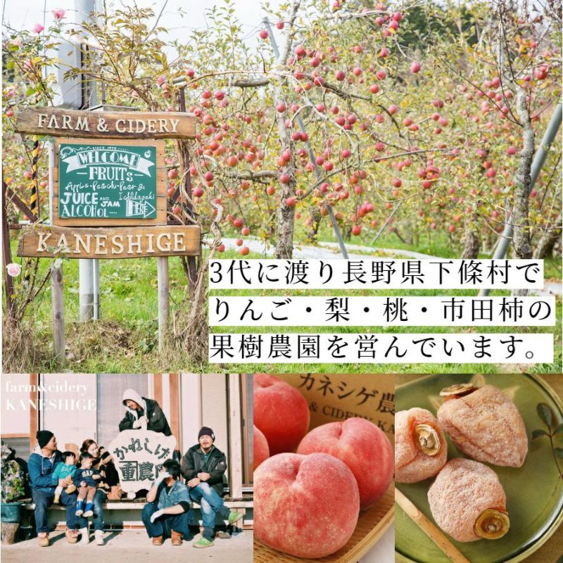 カネシゲ農園　りんご　リンゴ　産地直送　通販