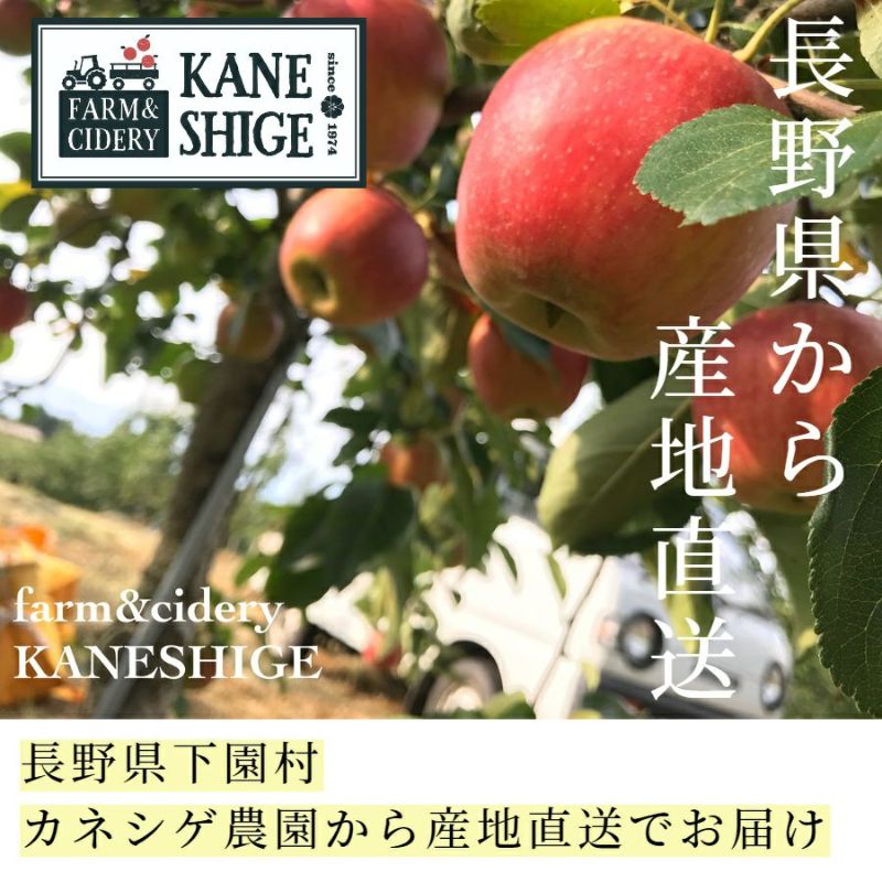 カネシゲ農園　りんご　通販　産地直送