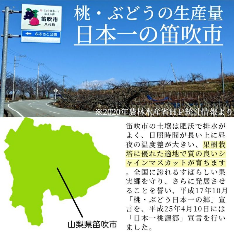 丸章青果　シャインマスカット　産地直送