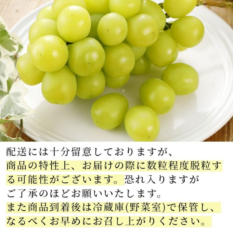 丸章青果　シャインマスカット　産地直送