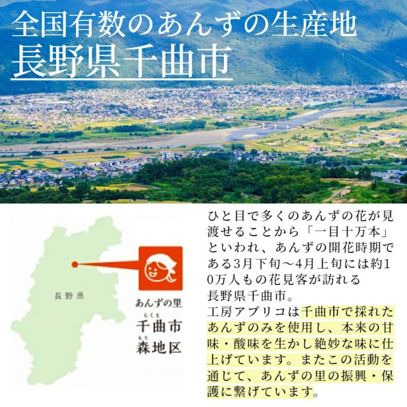 セミドライあんず　長野県産 あんず 通販