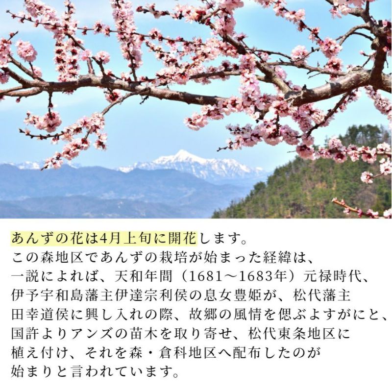 セミドライあんず　長野県産 あんず 通販