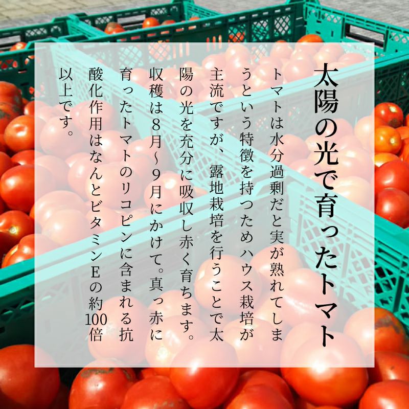 ダイセン創農　トマトジュース