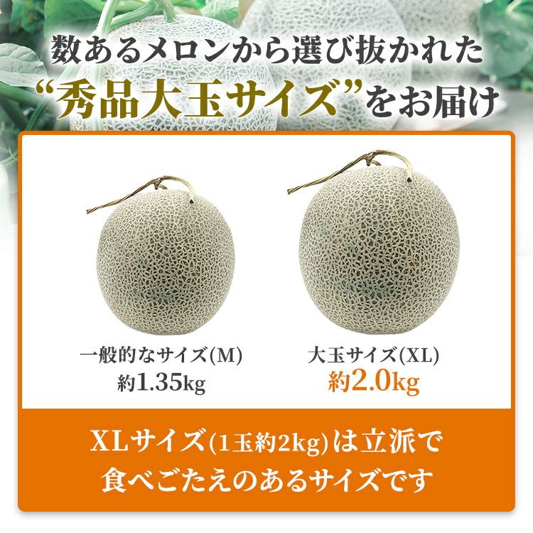 北海道 富良野メロン　通販