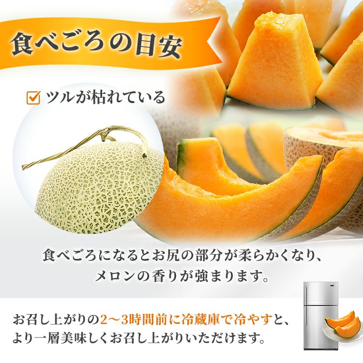 北海道 富良野メロン　通販