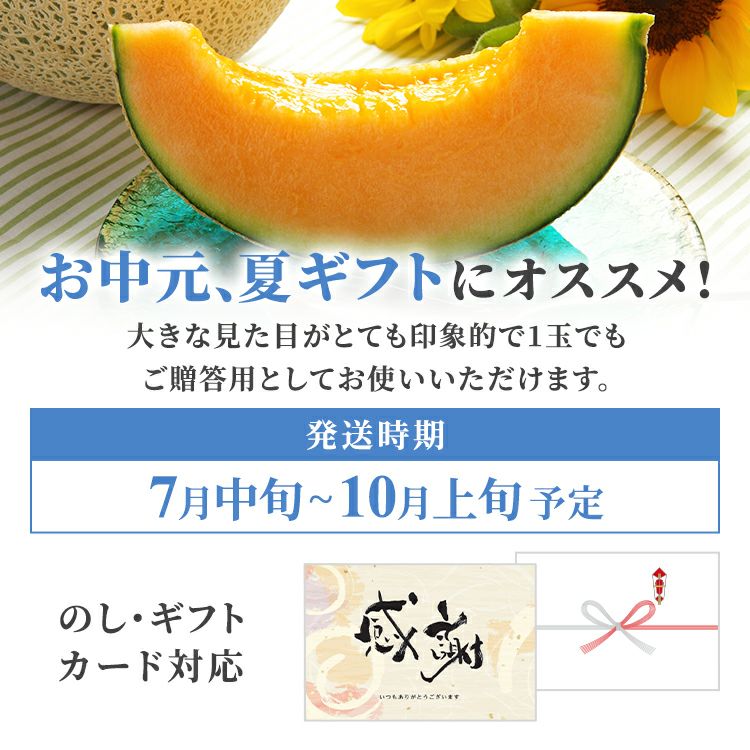 北海道 富良野メロン　通販