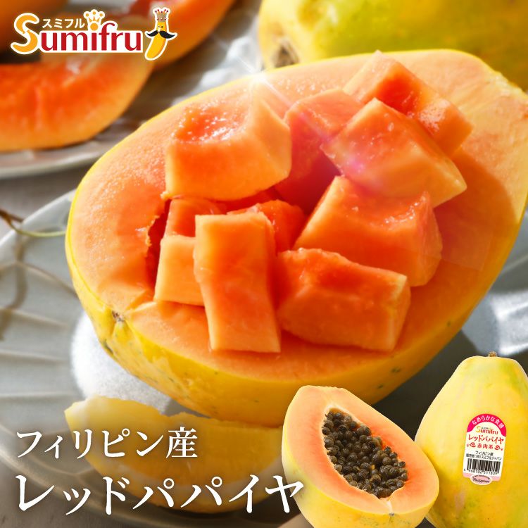 Pepu´chimo☆さま専用】3種類のフルーツパパイヤ果樹苗各2個