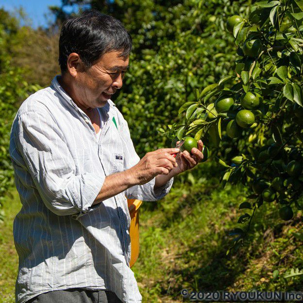 みつばちみかん | スミフルの美味しいマルシェ