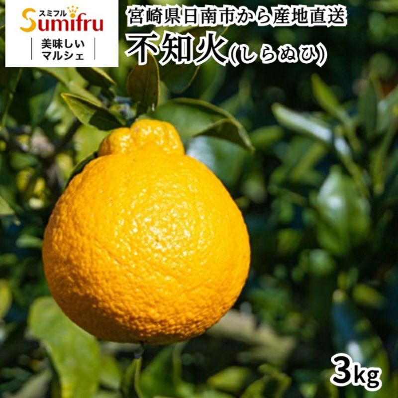 長崎県産　不知火20キロ#153 長崎県産 不知火20キロ#153