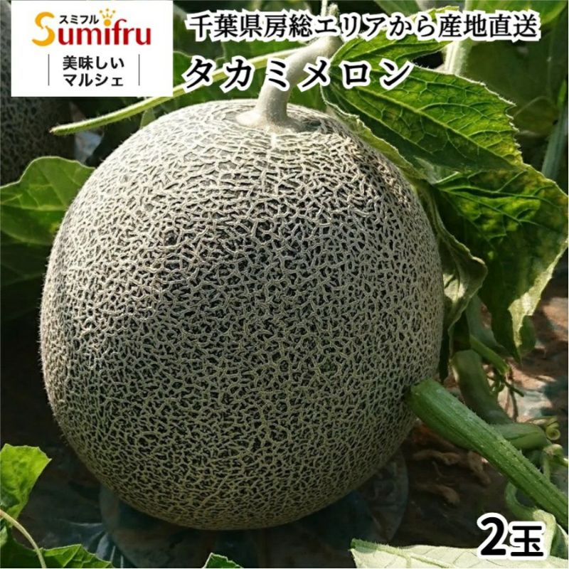 タカミメロン 【大玉青肉2玉入り】 | スミフルの美味しいマルシェ