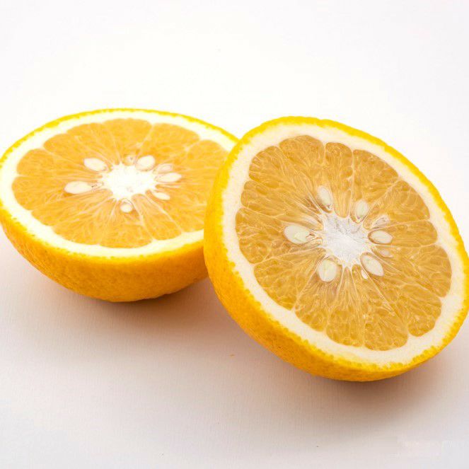 夏みかん 夏みかんゼリー自宅用箱なし（80g）3個 | 柚子屋本店ONLINE STORE