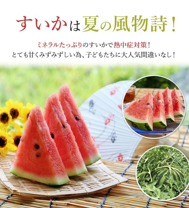 超高級　種無しスイカ　空宙スイカ　立体栽培　2L2玉セット 先行予約 訳あり 工藤さんが作ったスイカ 2玉 約7～8kg 品種おまかせ