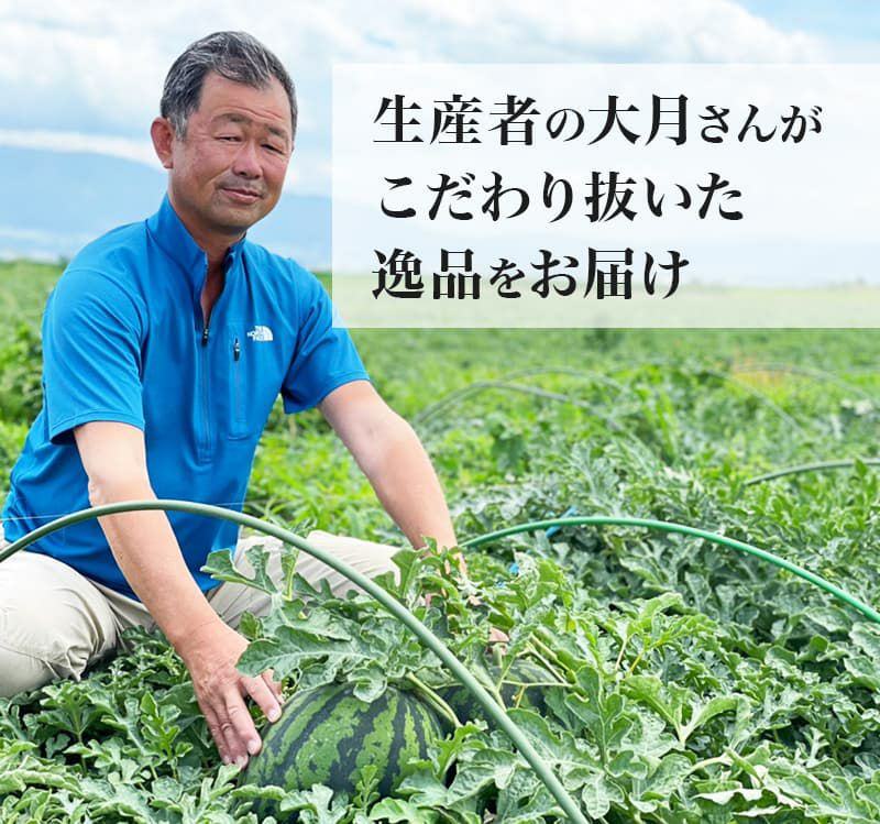 高地栽培完熟すいか 2玉(2Lサイズ) | スミフルの美味しいマルシェ