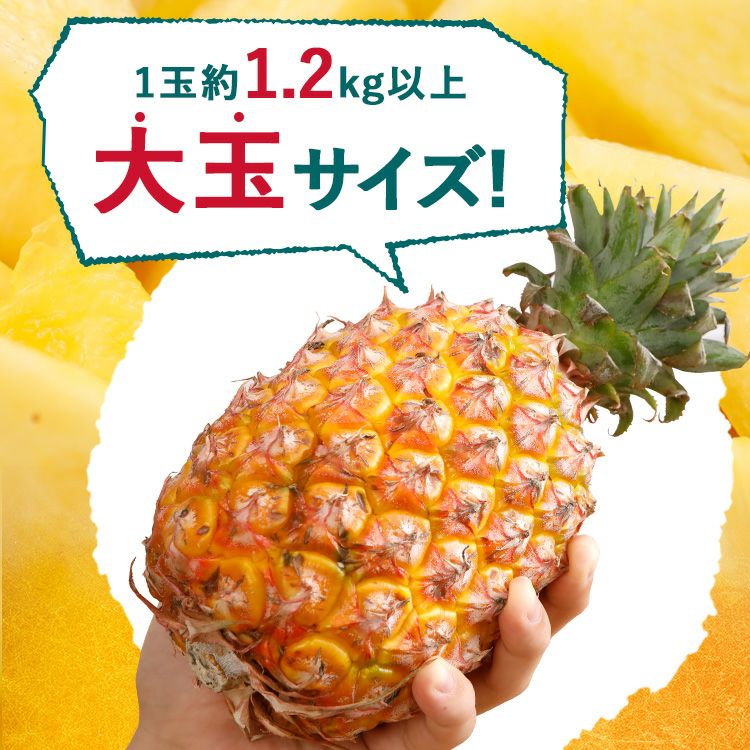 台湾パイン金鑚王大玉限定3玉6玉10kg金鑚パイン台湾パイナップル台農17号パイン甘い高糖度パイン糖度18度ギフトスミフル厳選甘熟