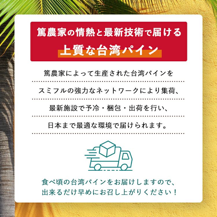 台湾パイン金鑚王大玉限定3玉6玉10kg金鑚パイン台湾パイナップル台農17号パイン甘い高糖度パイン糖度18度ギフトスミフル厳選甘熟