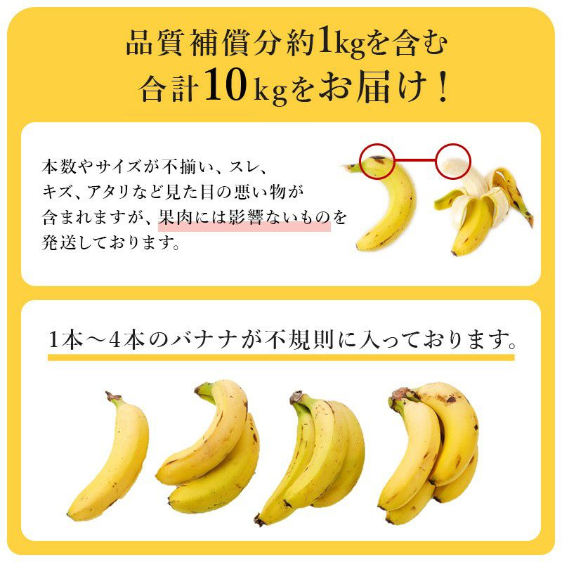 000000000405-04-l.jpg?t=