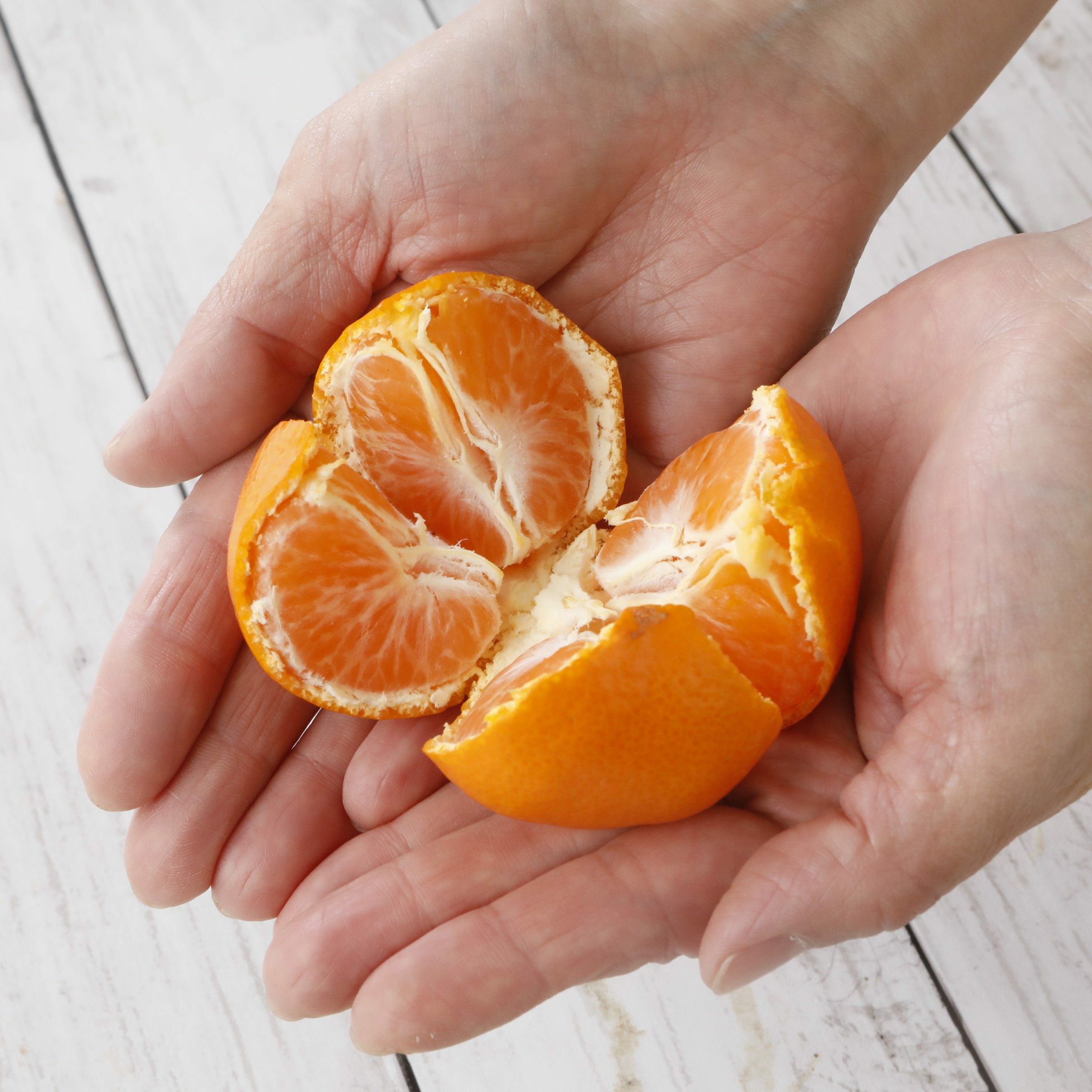 早生みかん | スミフルの美味しいマルシェ